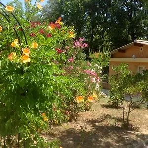 Maisonnette Dans Un Environnement Exceptionnel Hébergement de vacances